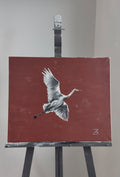 Volando