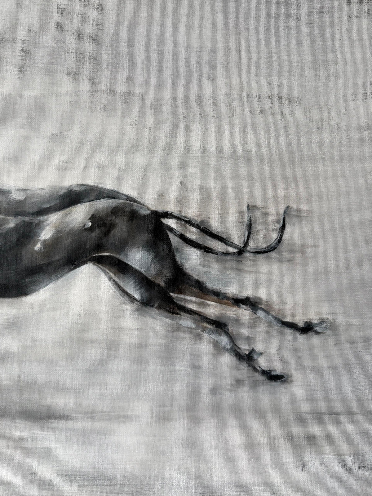 Compañeros II
